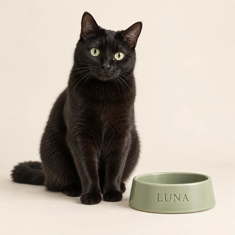 Black shorthair cat beside a sage bowl engraved with LUNA