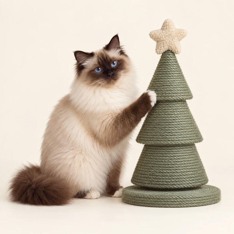 Birman cat with a Christmas tree scratching post – Petifo