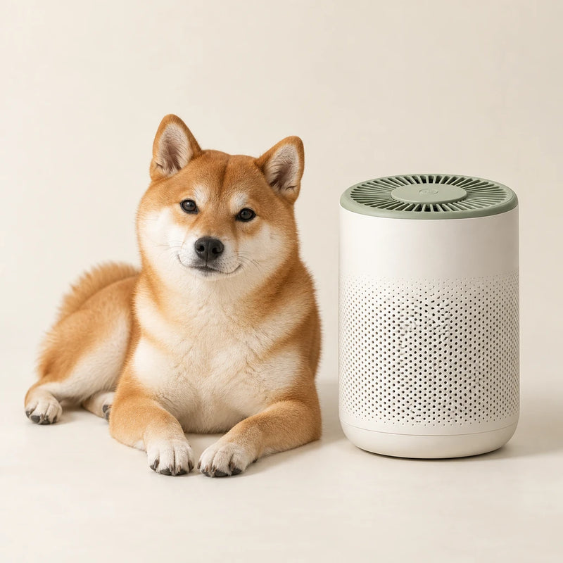 Red Shiba Inu resting beside a cream air purifier with a sage top