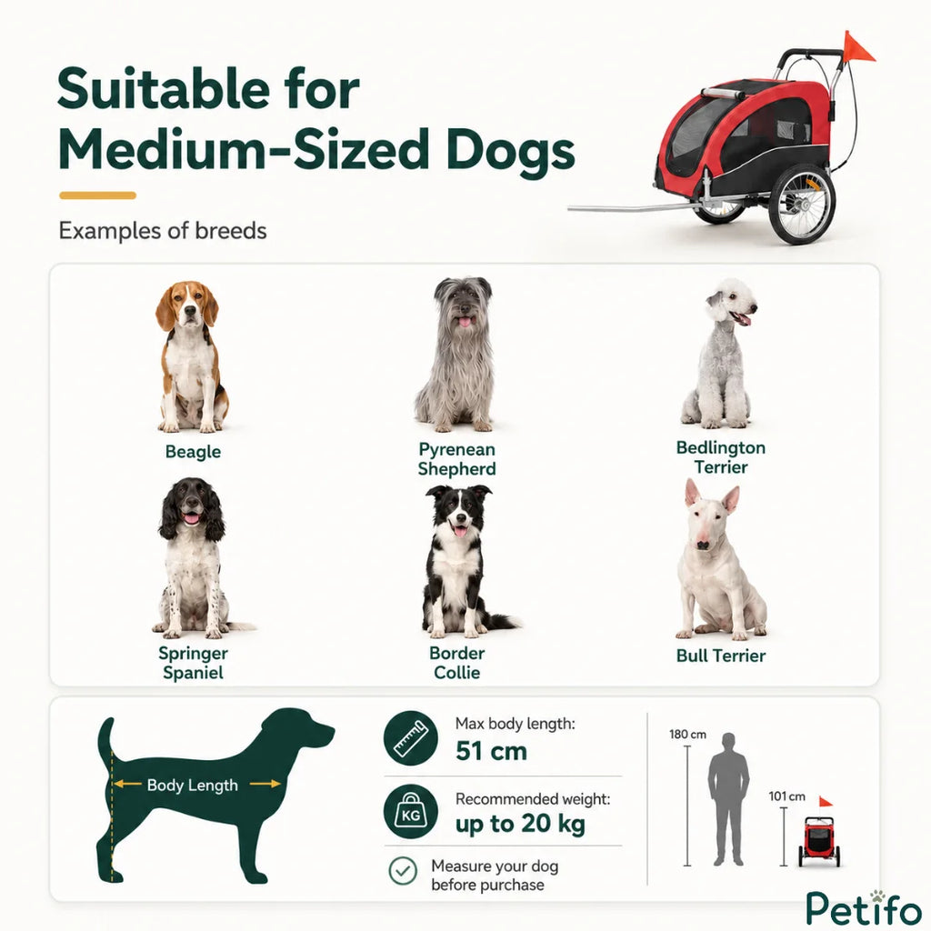 Infographic showing recommended medium-sized dog breeds, maximum body length of 51 cm, and up to 20 kg weight capacity.