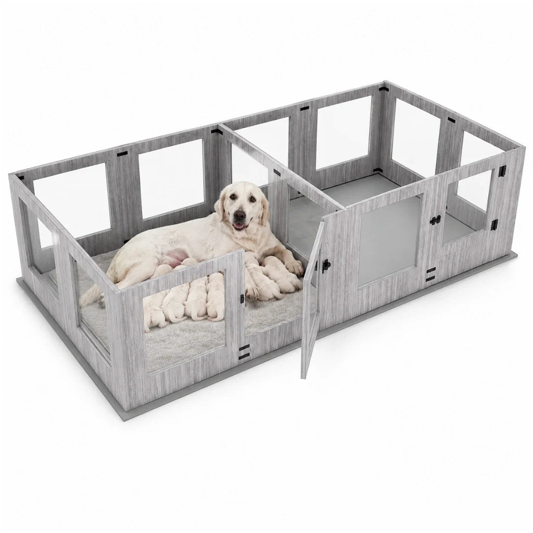 A golden retriever mother dog resting inside a partitioned wooden Petifo playpen with her newborn puppies nursing on a soft mat.
