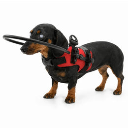 Rød