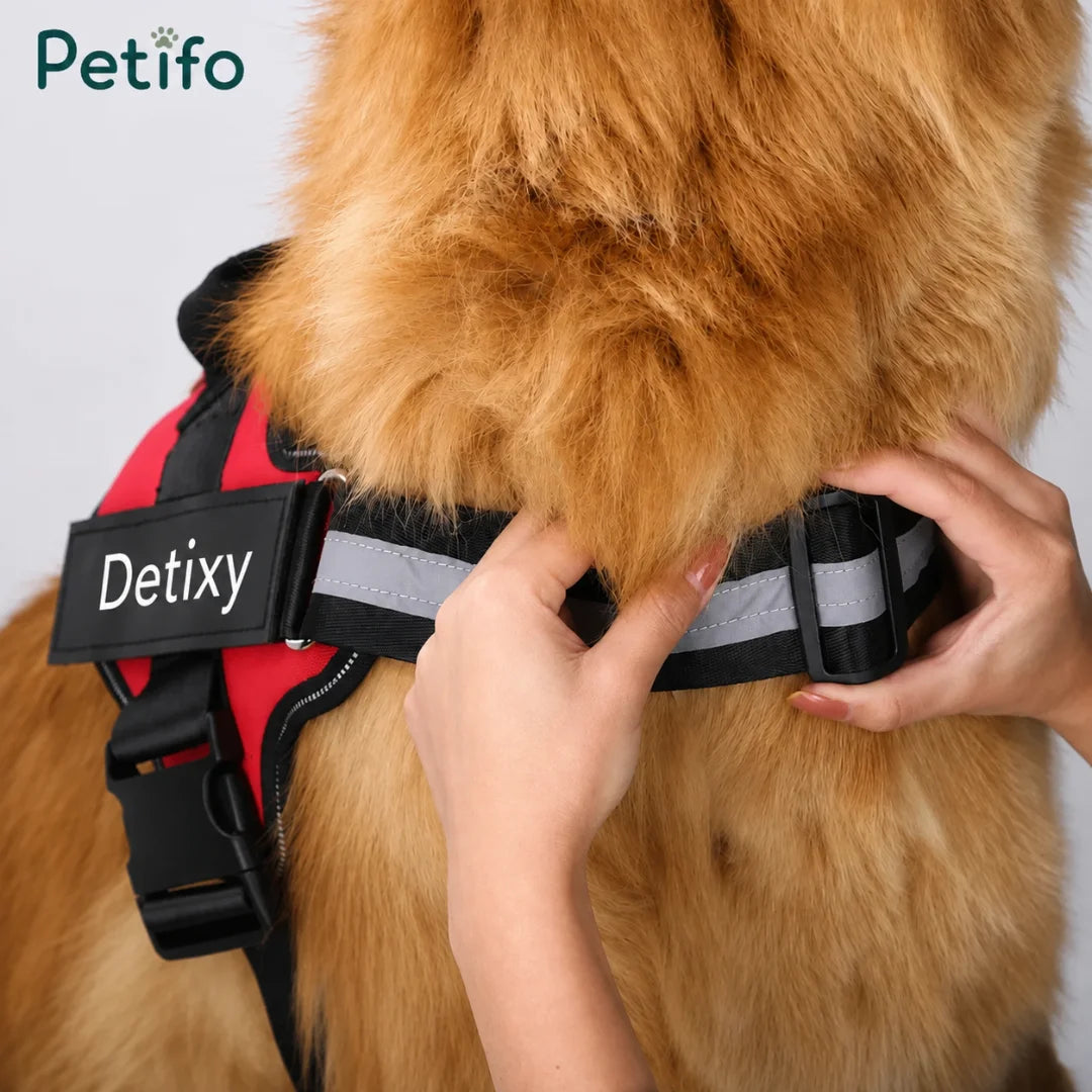 A close-up shot of hands adjusting the straps of a red "Detixy" dog harness on a golden retriever's thick fur, branded with the Petifo logo.