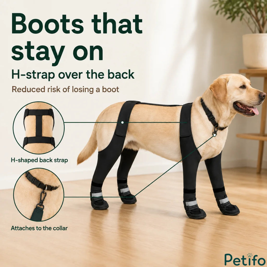 Instructional graphic highlighting key product features of the anti-slip dog boots including the H-shaped back strap and secure collar attachment.