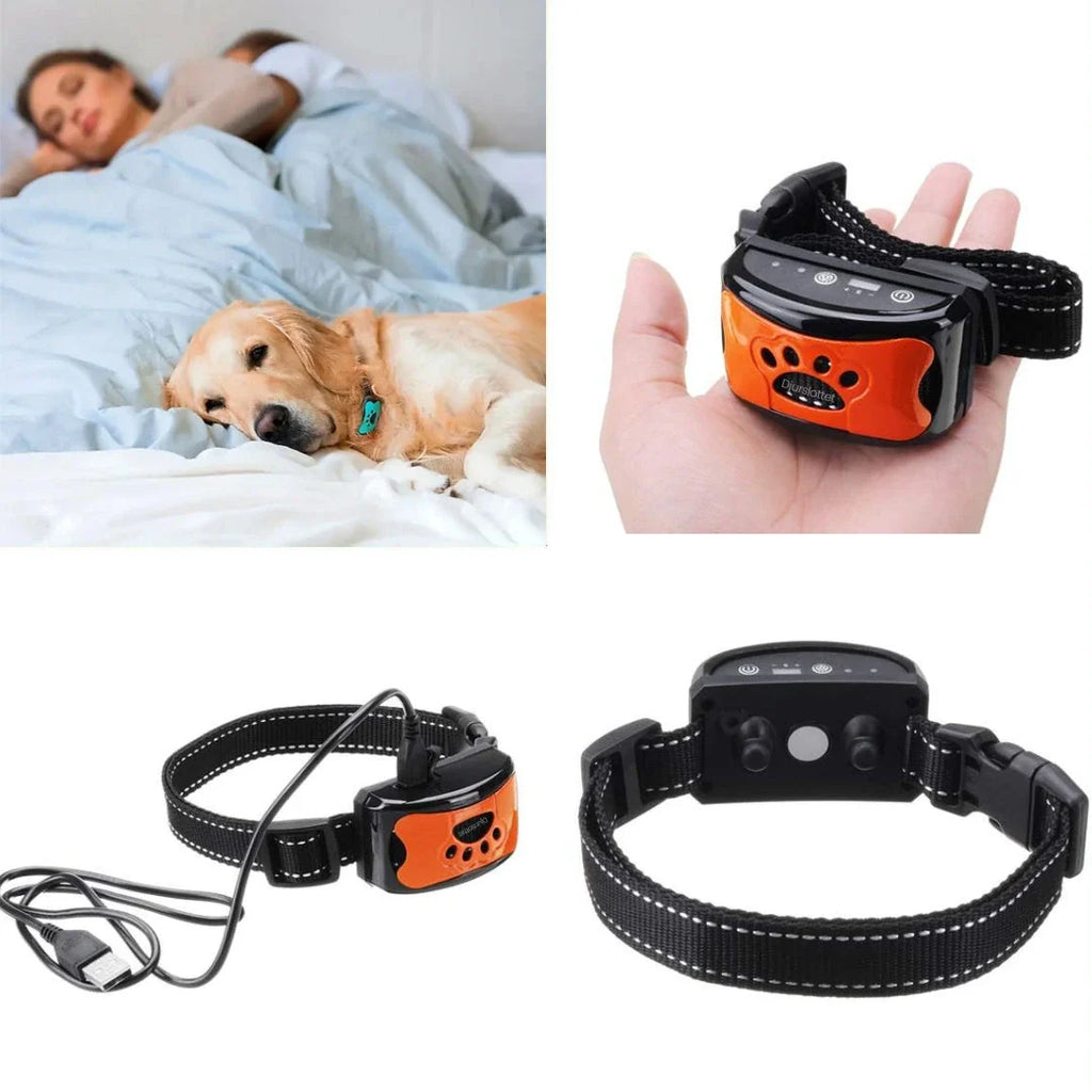 Anti-bark collar image of front and back - Petifo