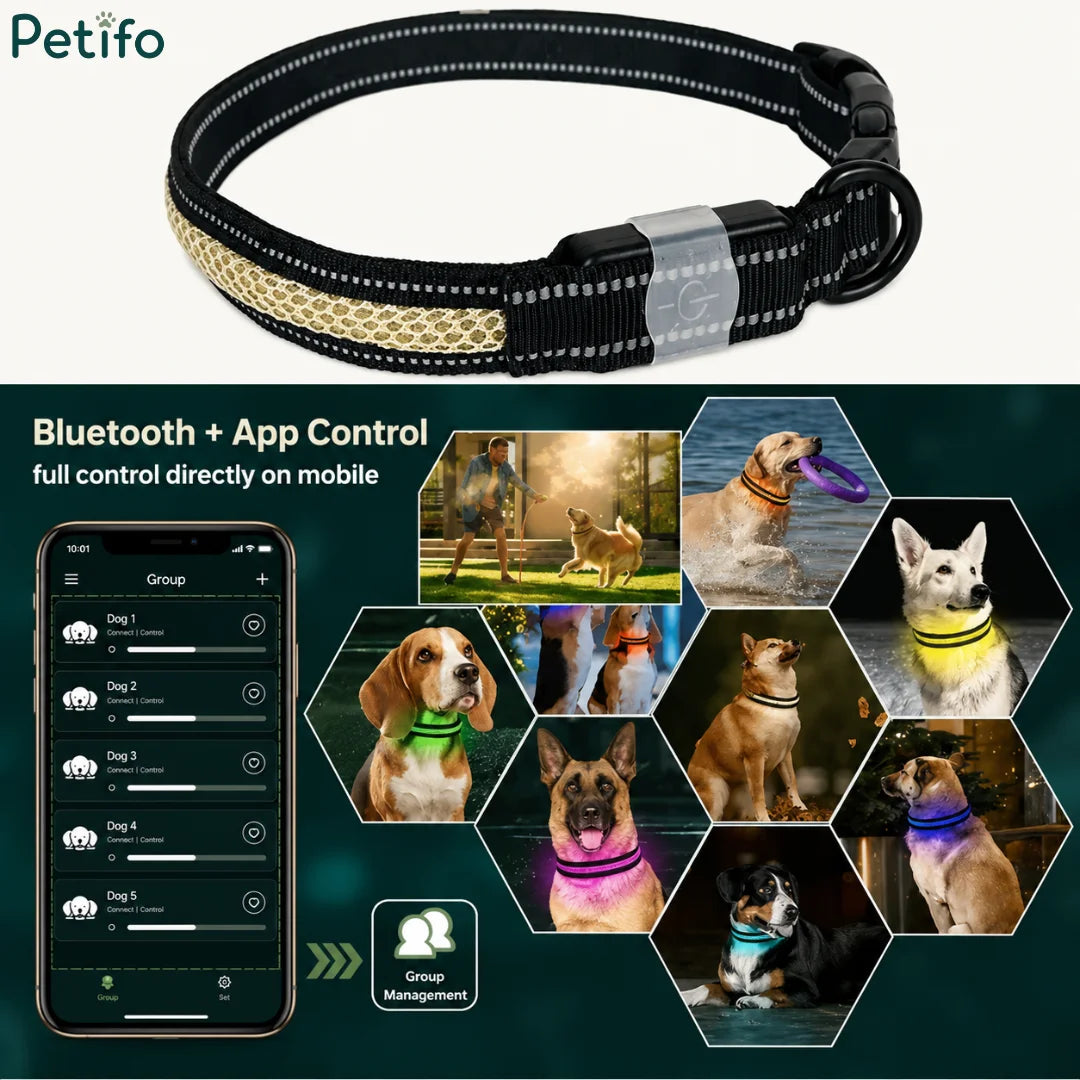 Bluetooth and app control interface showing group management for multiple dogs wearing glowing LED collars across various outdoor scenes.