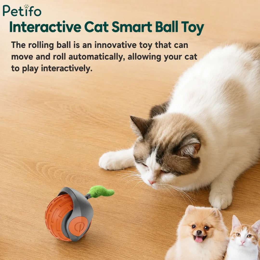 Automatic rolling cat ball toy designed to provide interactive play for cats and small pets.