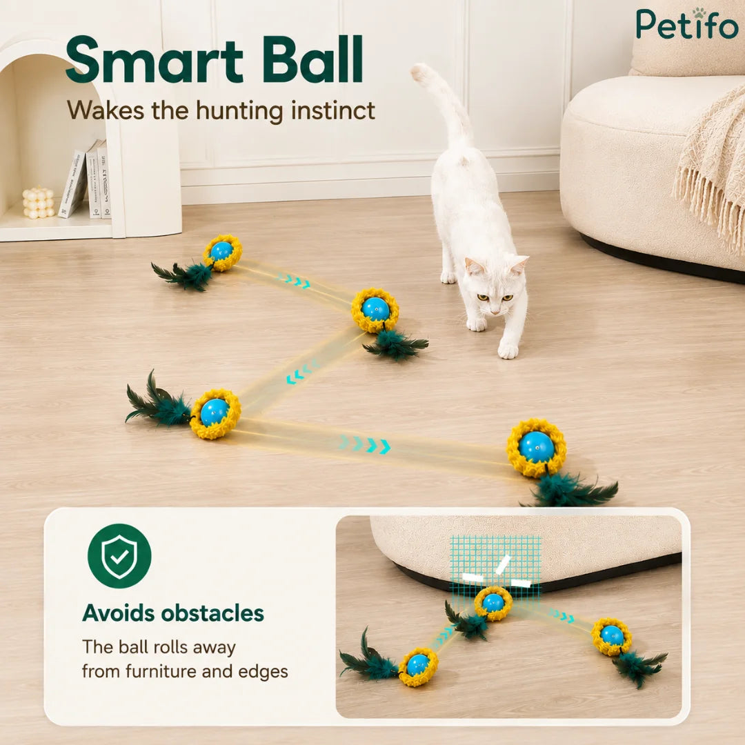 White cat watching a smart moving ball navigate across a room while successfully avoiding obstacles and furniture edges.