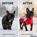 Before and after comparison showing a French bulldog appearing cold and uncomfortable versus warm and happy in a winter dog jacket.