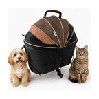 Studio product photo of the black and brown bicycle pet carrier displayed alongside a cute small dog and a tabby cat.