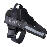 Detixy-hundesele