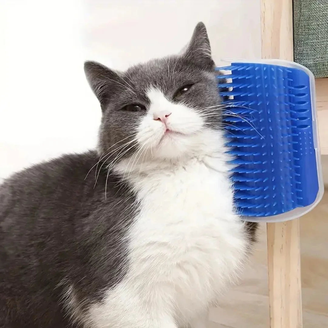 Grey and white cat blissfully rubbing its face against a blue corner self-groomer brush.