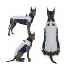 Nordvarm Winter Jacket in dark blue on a dog – Petifo