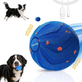 PetZynergy-aktivitetsbold til hunde