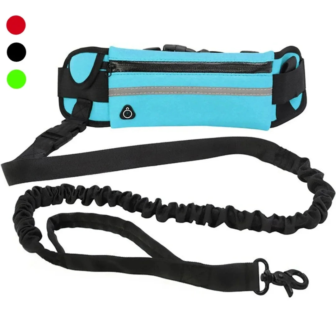 Blue hands-free running belt paired with an elastic bungee dog leash, featuring color selection dots in the upper left corner.