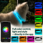 White dog wearing a bright blue smart LED collar next to a smartphone app control screen and various color option tiles.