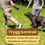 Canimora Muzzle for Large Dogs Safe control Petifo