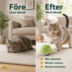 CatChase vs after - Petifo