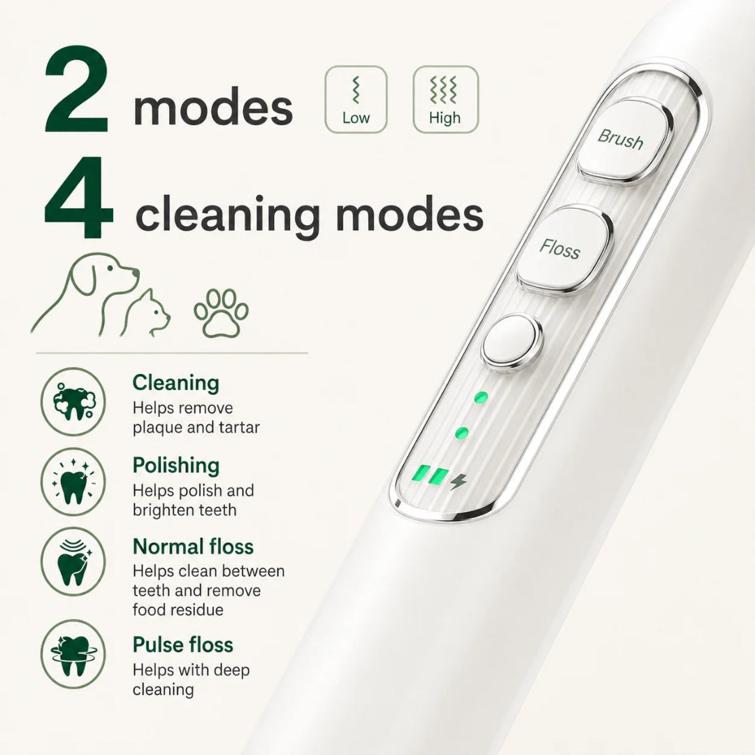 Close-up of a white electric pet toothbrush highlighting its 2 intensity strengths and 4 dental cleaning modes.