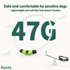 Lightweight 47G glowing dog collar designed for safe and comfortable wear on sensitive pets.