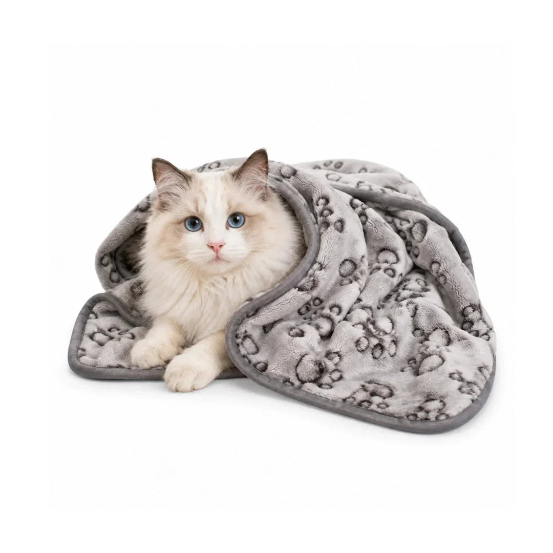 Fluffy ragdoll cat resting comfortably inside a rolled-out grey paw print blanket against a white background.