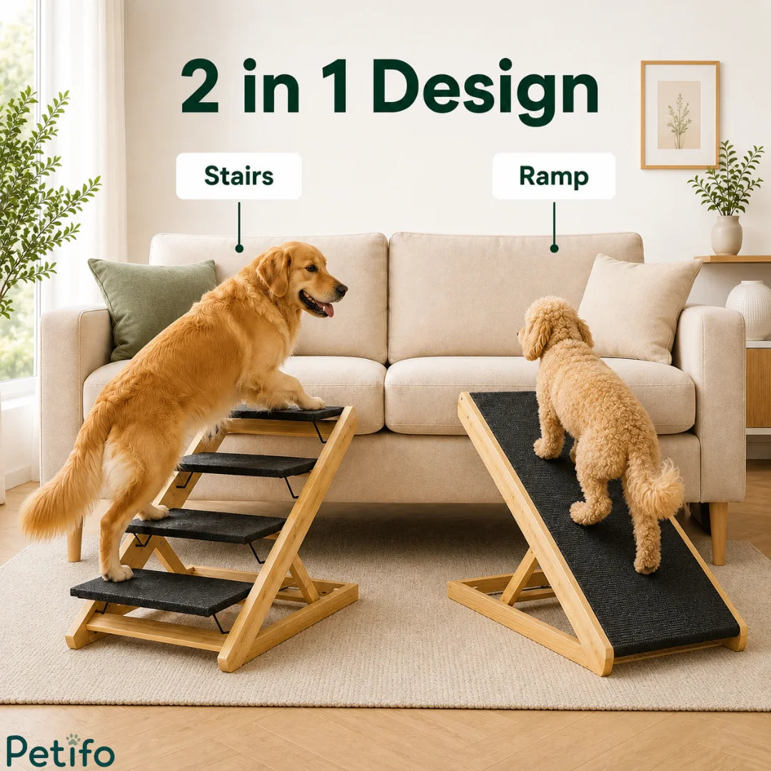 Two-in-one convertible wooden pet furniture being used as stairs by a large dog and as a ramp by a small dog.