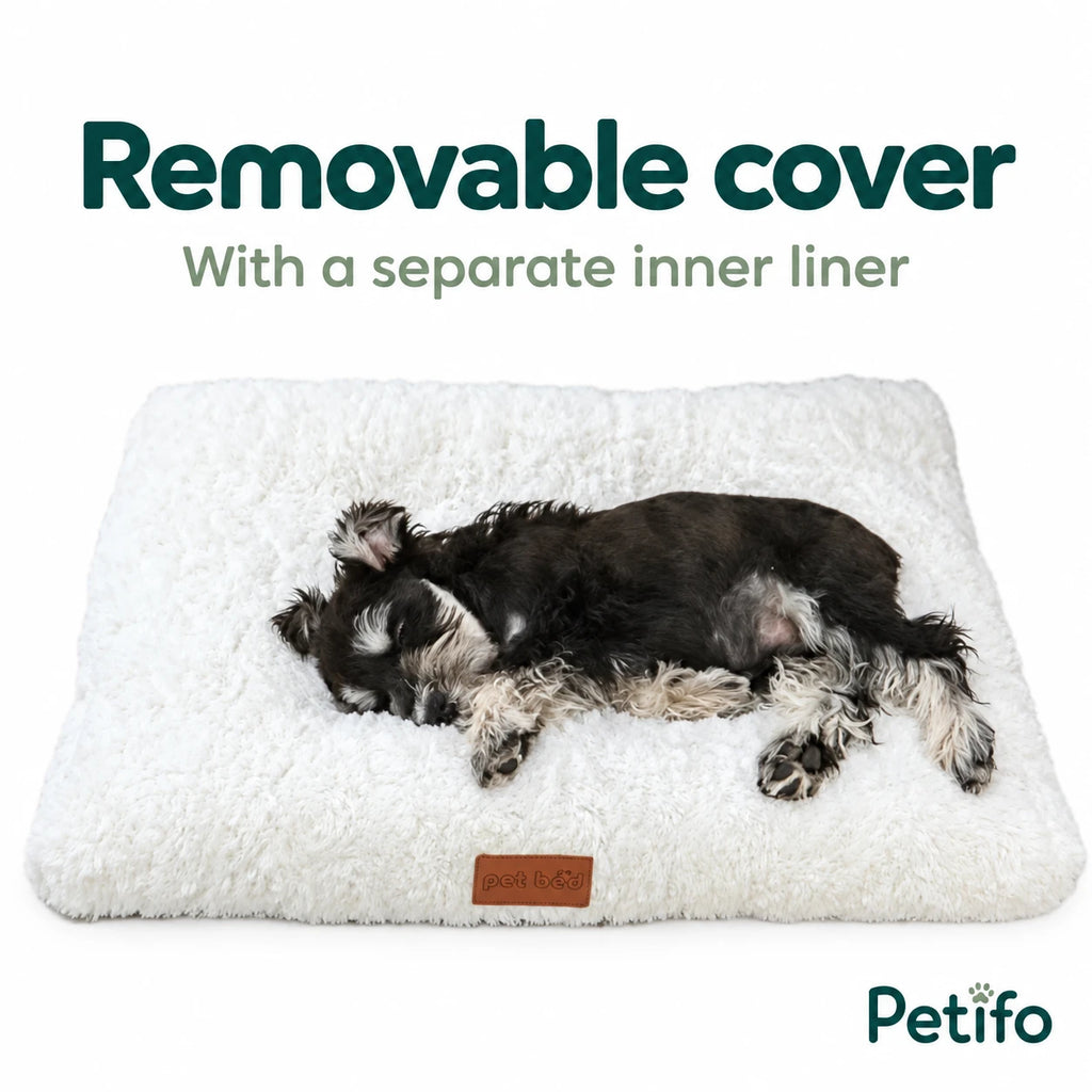 CozyCloud removable cover with separate inner liner