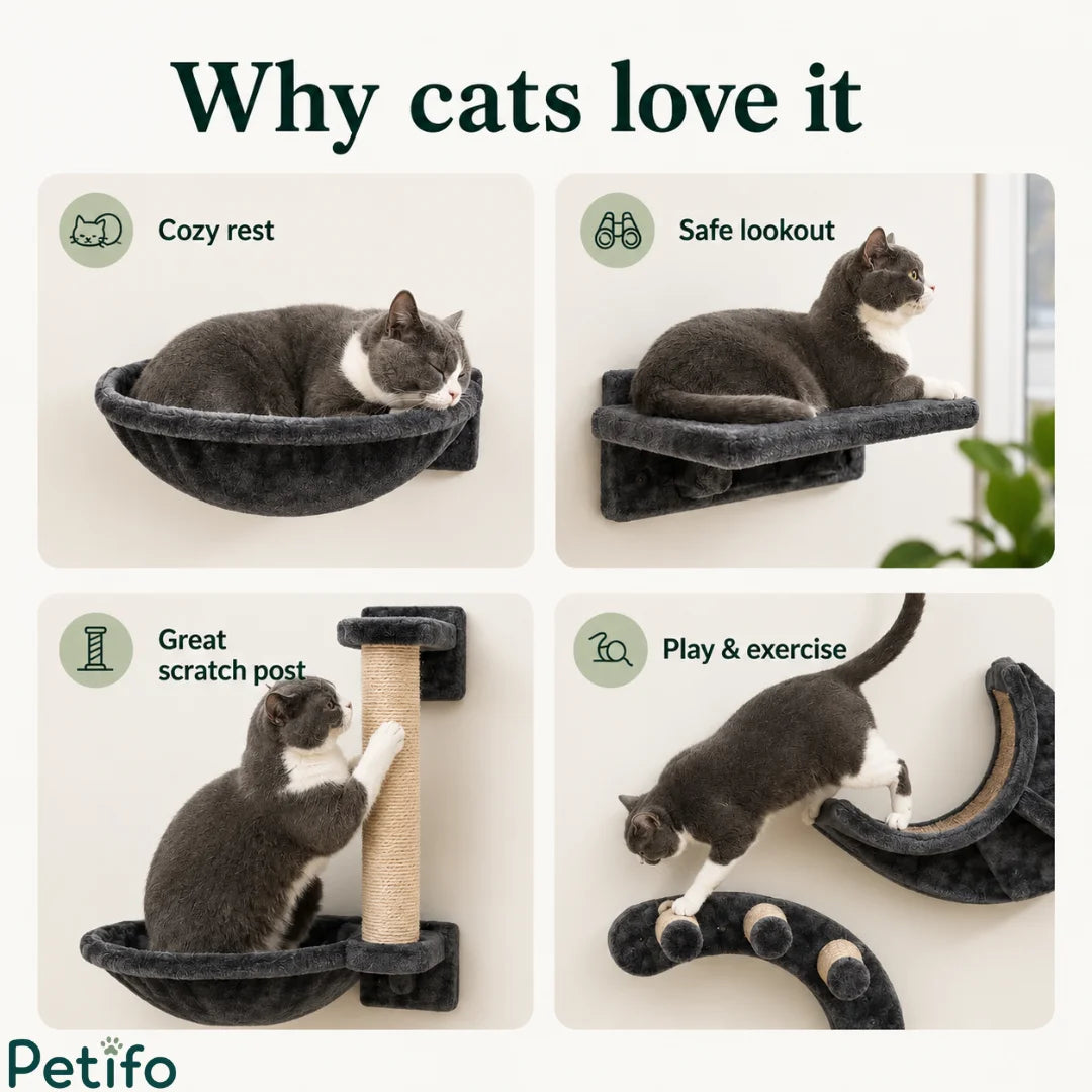 Four-panel breakdown highlighting why cats love the wall-mounted furniture for cozy resting, safe lookouts, scratching, and active play.