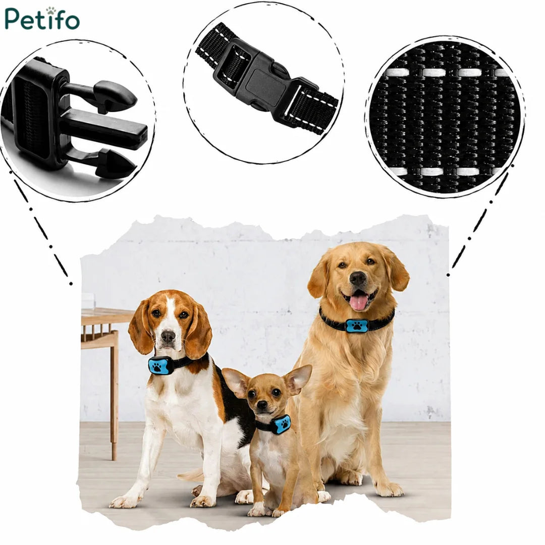 Detailed breakdown of the collar's durable buckle and adjustable strap shown alongside Beagle, Chihuahua, and Golden Retriever dogs.