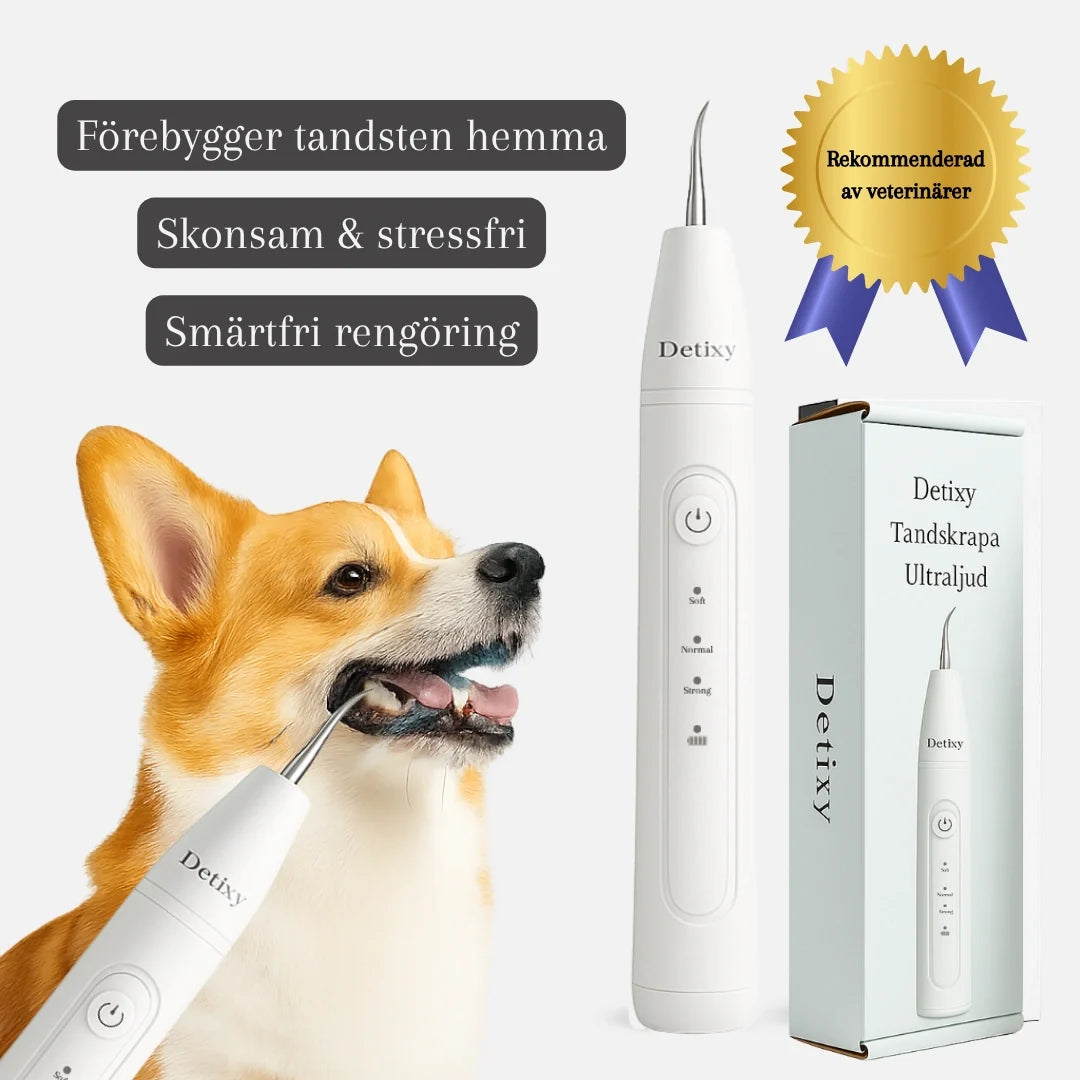 Detixy Ultrasonic Tooth Scaler Recommended by vets -Petifo