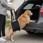 DogHalo Rear Lift Harness helping a senior golden retriever step into a car - Petifo
