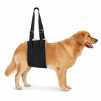 DogHalo Rear Lift Harness on a golden retriever against a white background - Petifo