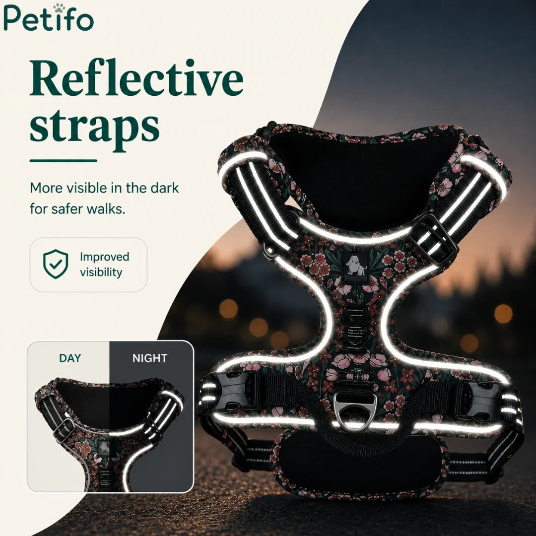 Nighttime view of the reflective strap dog harness showcasing enhanced visibility and safety for dark evening walks.