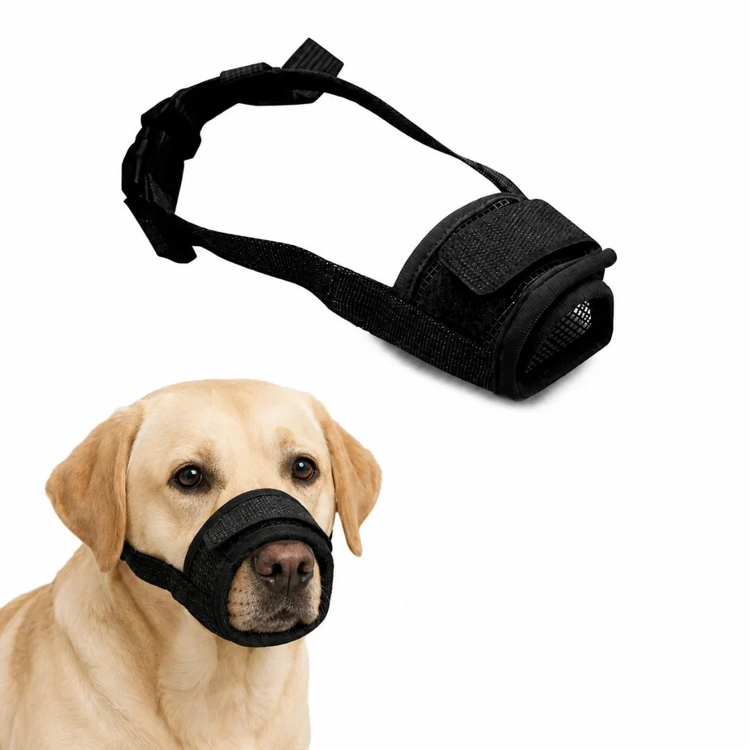 Black mesh dog muzzle paired with an image of a Labrador wearing the properly fitted size.