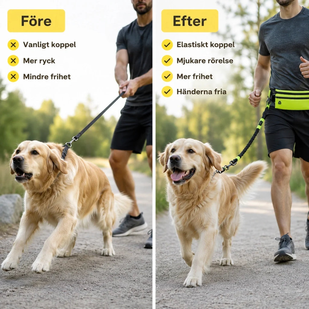 Flexura Dog Lead with waist bag after - Petifo