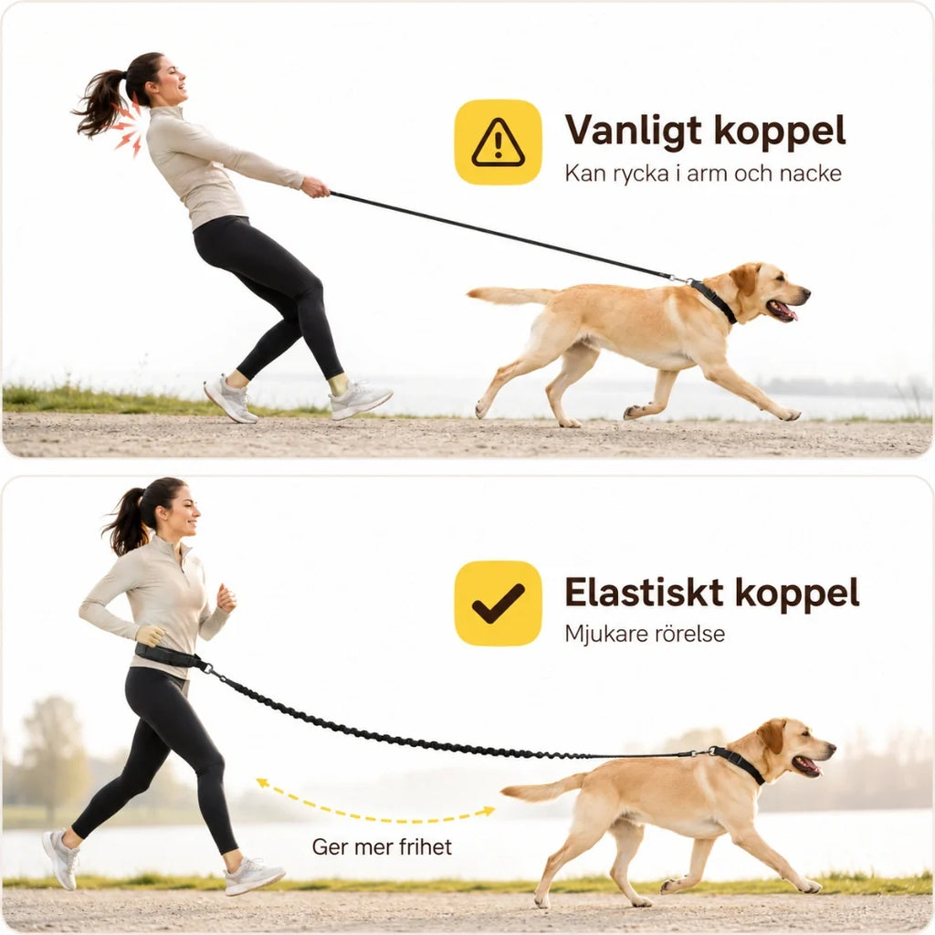 Flexura Dog Lead with waist bag elastic - Petifo