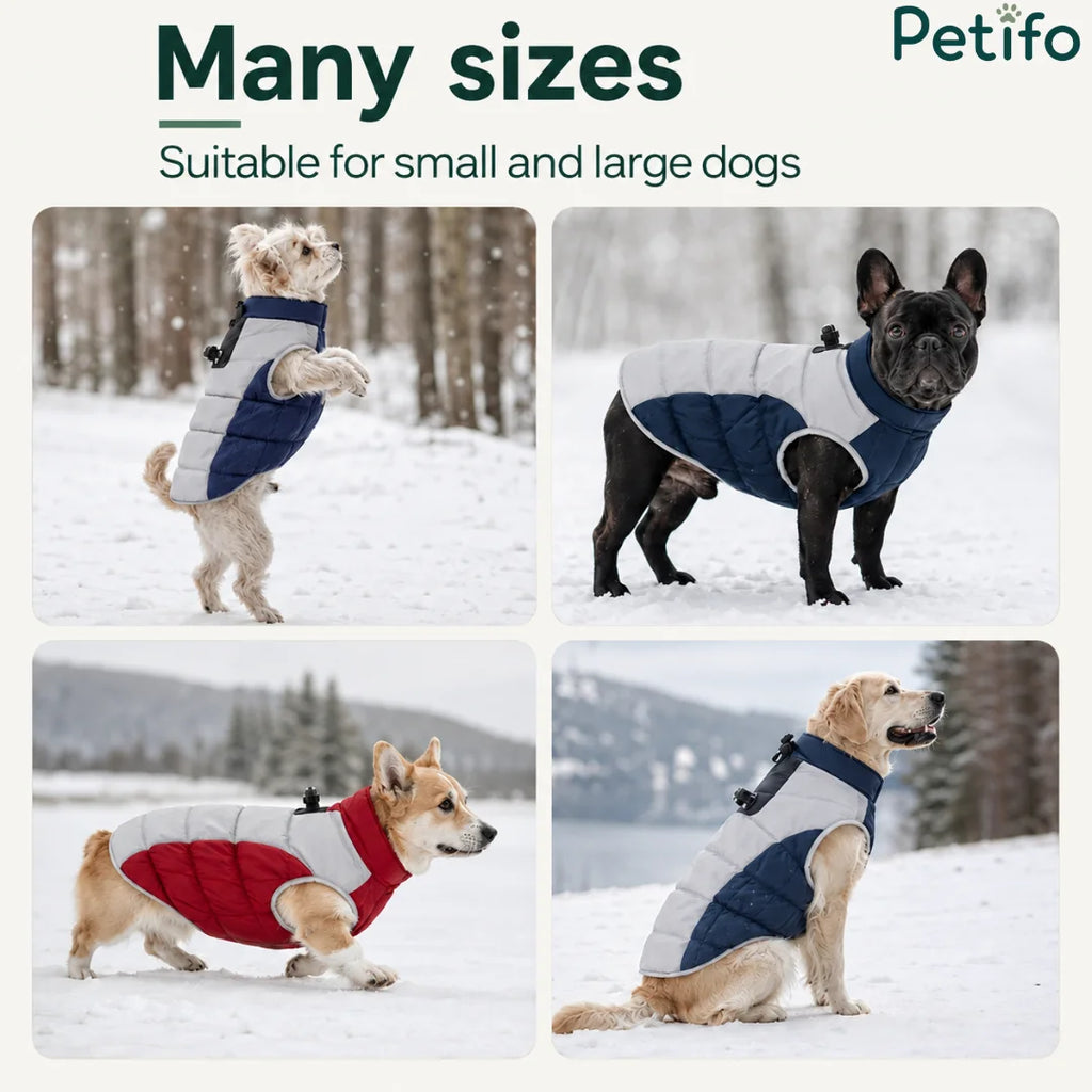 Four-panel product showcase displaying winter dog coats in various colors fitted on different small and large dog breeds.