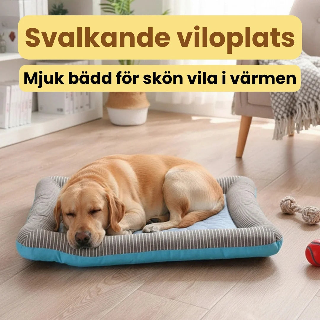 Frostypaws Cooling Mat for dogs Cooling resting place - Petifo