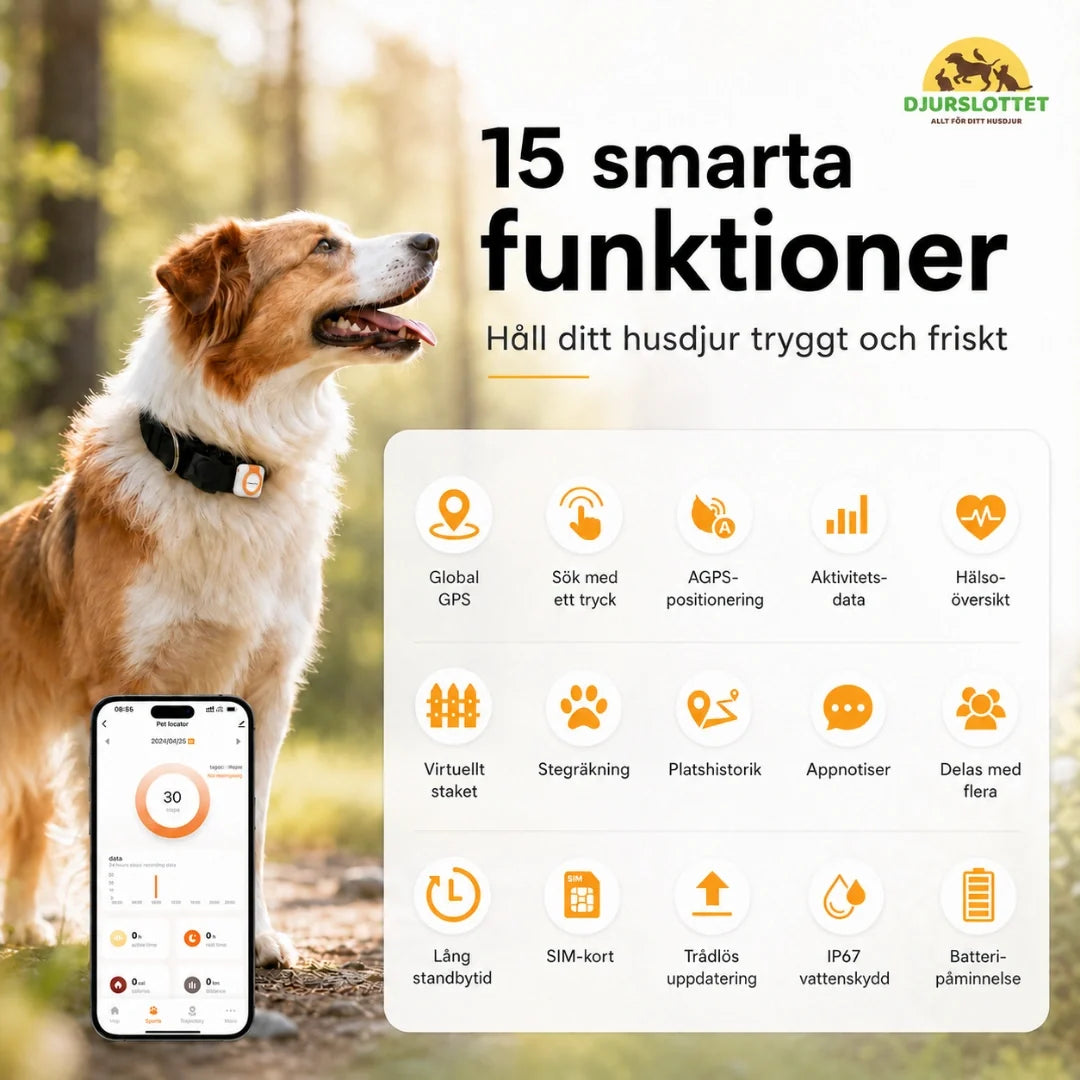 Petracka GPS Tracker smart features real-time - Petifo