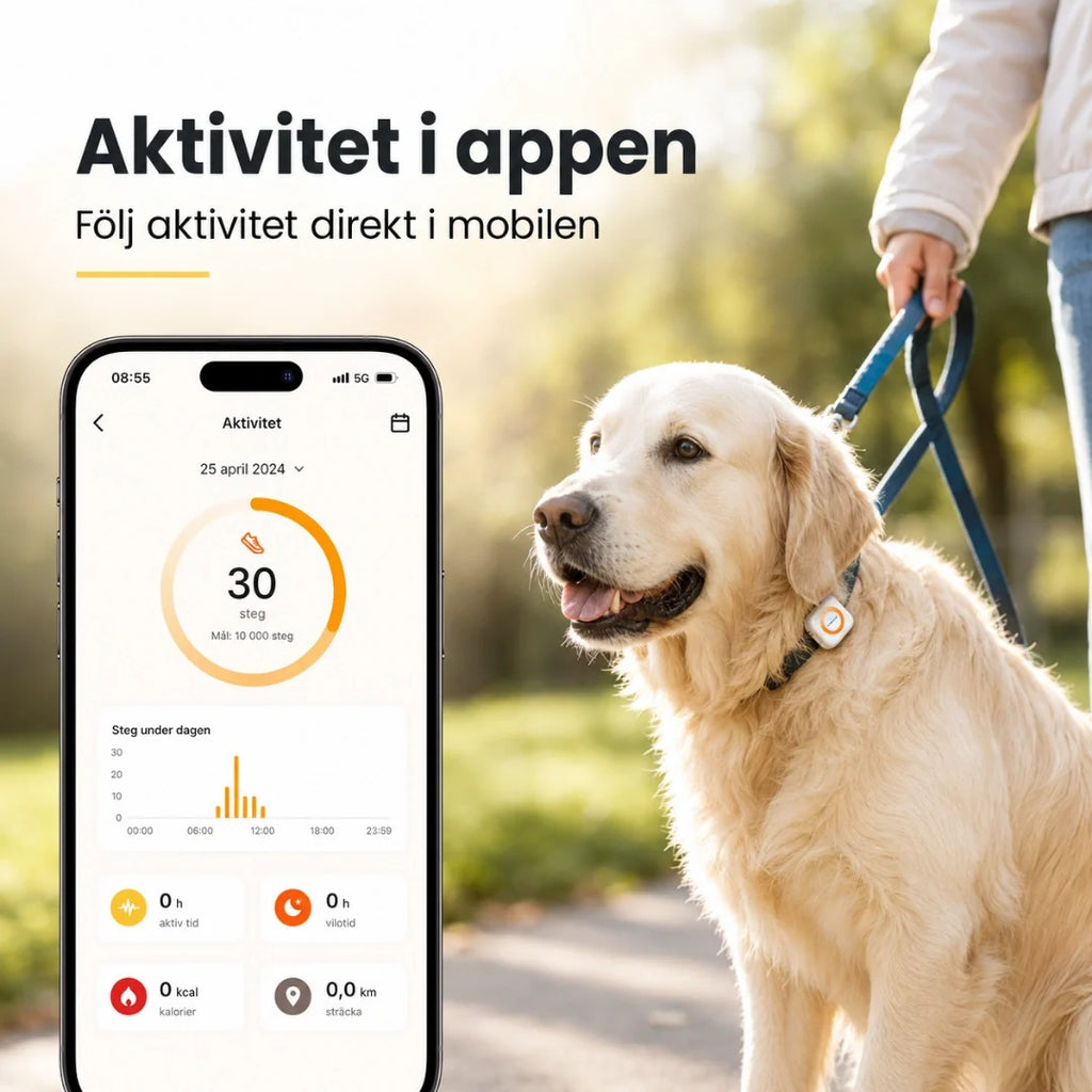 Petracka GPS Tracker activity in the app - Petifo