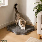 A cat stretching and scratching on a gray paw-shaped cat grooming and massage pad placed on a wooden floor near a wall.