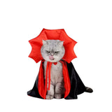 Halloweenkostume til katte
