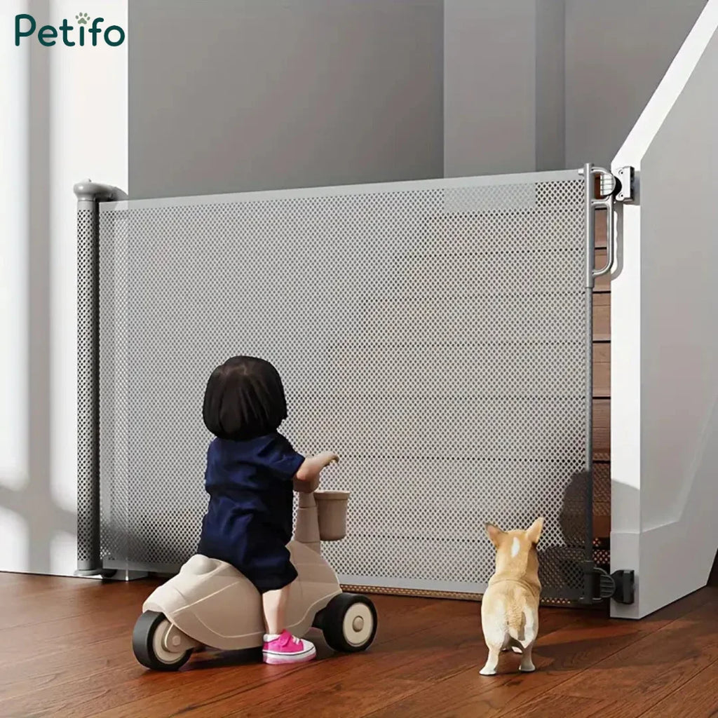 Child riding a toy bike and dog looking toward a grey retractable mesh safety gate at the bottom of stairs.