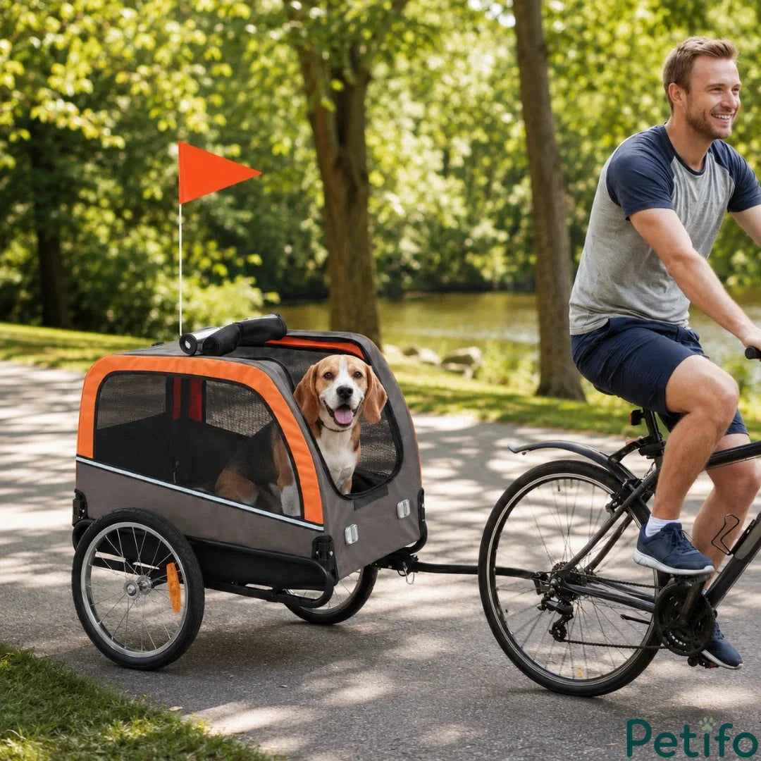 Man riding a bicycle with a grey and orange pet trailer carrying a happy beagle down a paved park path.