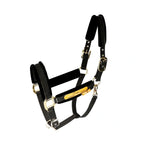 Padded Adjustable Horse Halter Black - Petifo