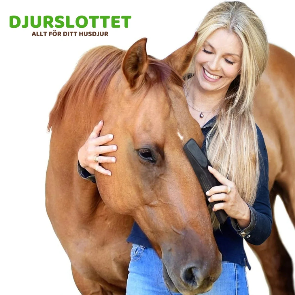 Horse Brush Gentle yet powerful cleaning - Petifo