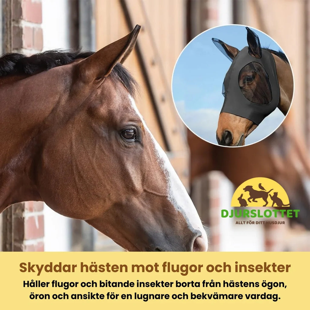 Horse mask with ear protection Protects the horse against flies and insects - Petifo