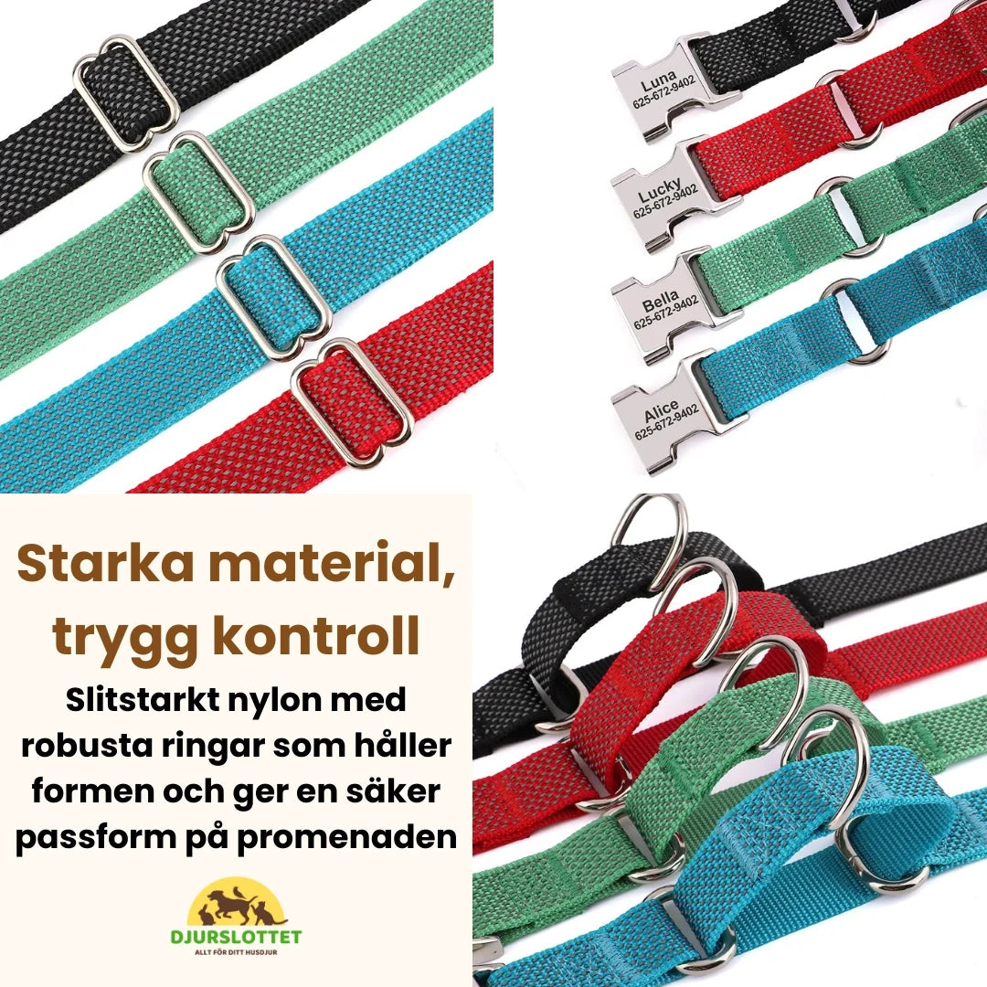 Semi-choke Collar with personalised engraving Strong materials, safe control - Petifo