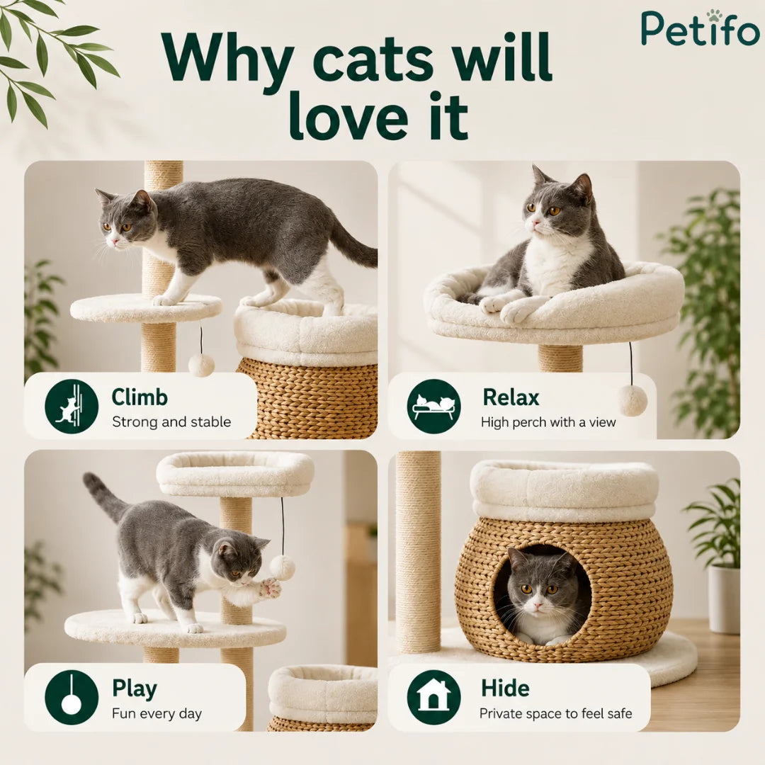 Four-quadrant action graphic illustrating cats climbing, relaxing on the top perch, playing with the hanging toy, and hiding inside the basket.
