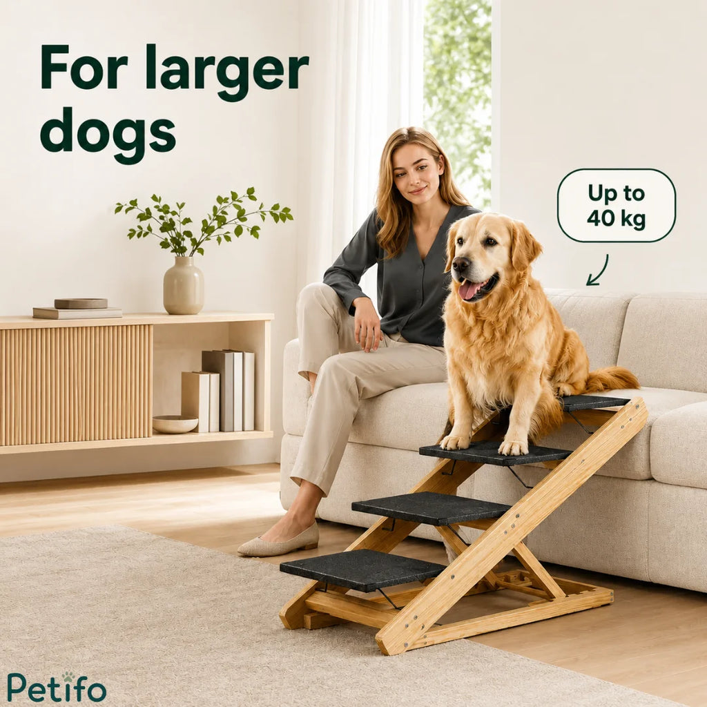 Large Golden Retriever sitting securely on heavy-duty wooden pet stairs supporting up to forty kilograms.